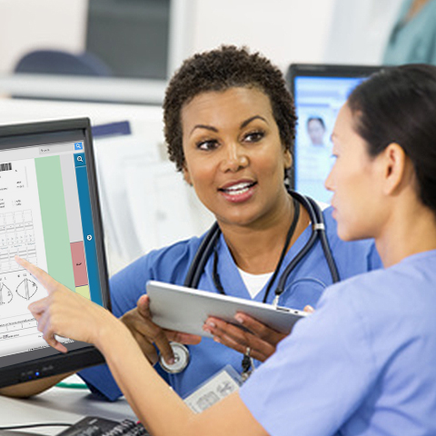 An EMR Implementation - Harnessing the Power Within. Use your End-Users.